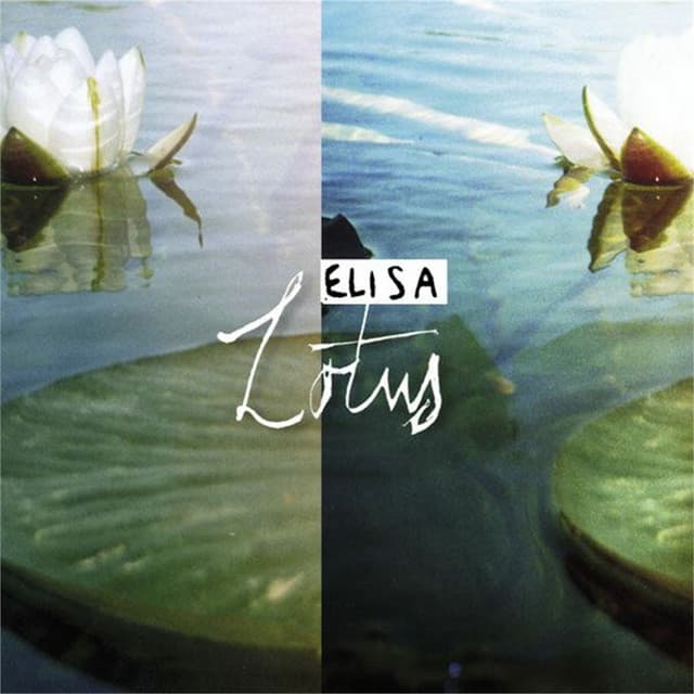 Lotus cover art
