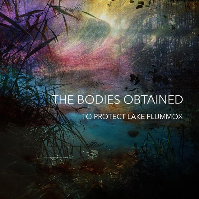 To Protect Lake Flummox cover art