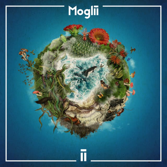 Indiigo cover art