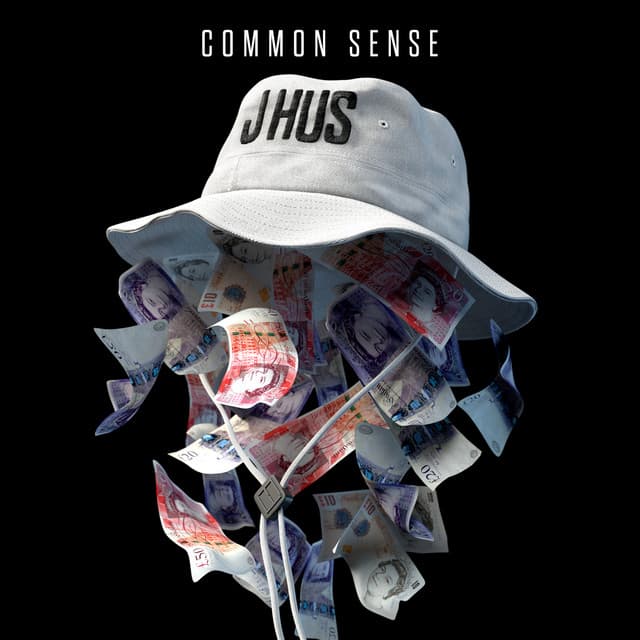 Did You See cover art
