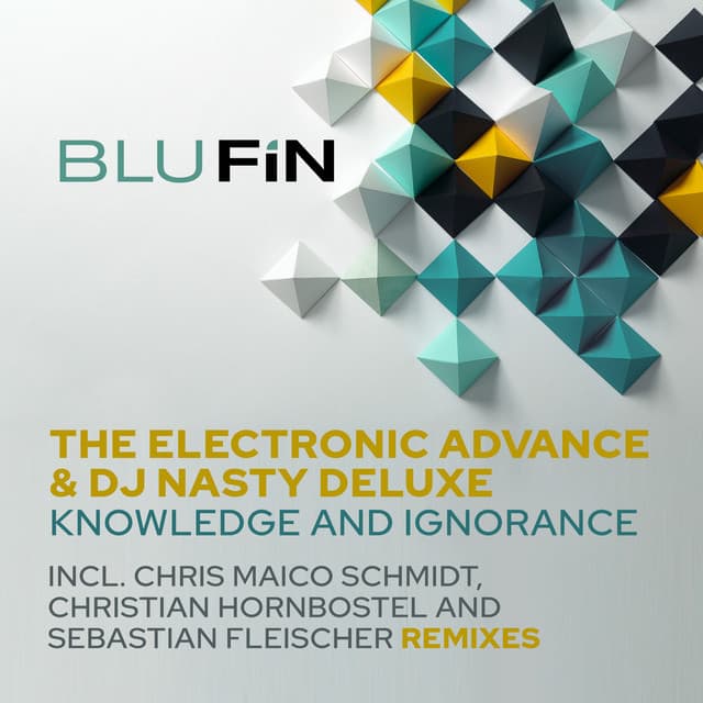 Knowledge and Ignorance - Christian Hornbostel Remix cover art