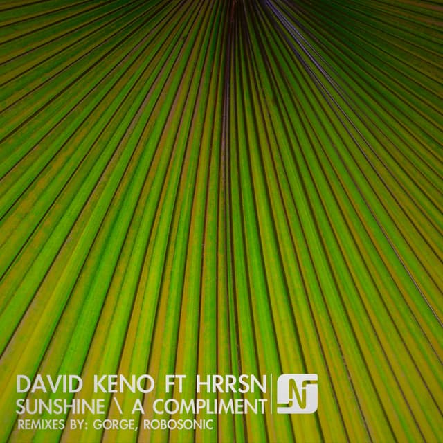 A Compliment - Gorge Remix cover art