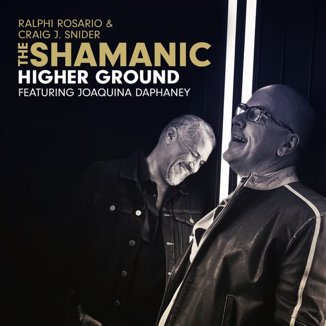 Higher Ground - Radio Mix cover art