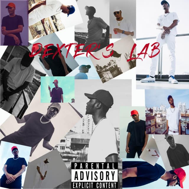 Working cover art