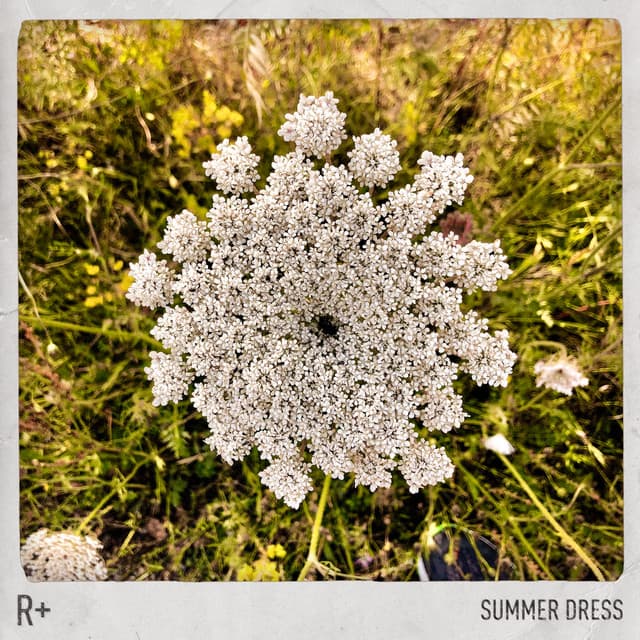 Summer Dress cover art