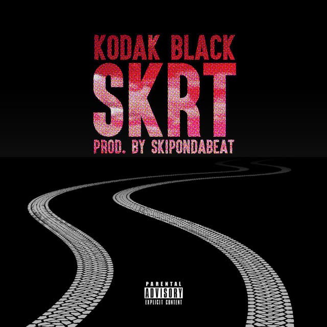Skrt cover art
