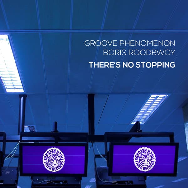 There's No Stoping - Original Mix cover art