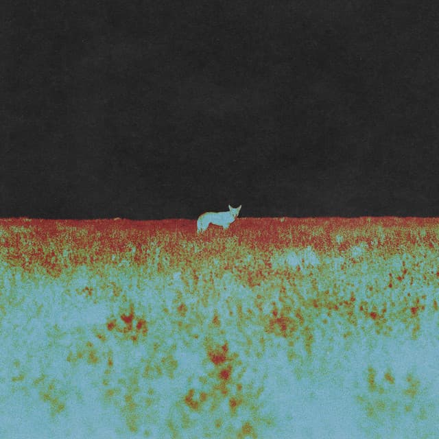 Nowhere cover art