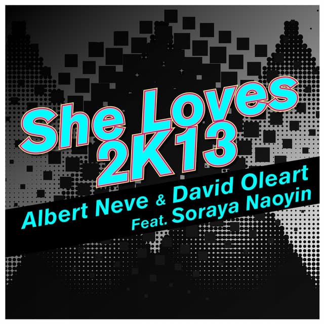 She Loves 2k13 - Nouveaubeats & Vince Le Fin Remix cover art