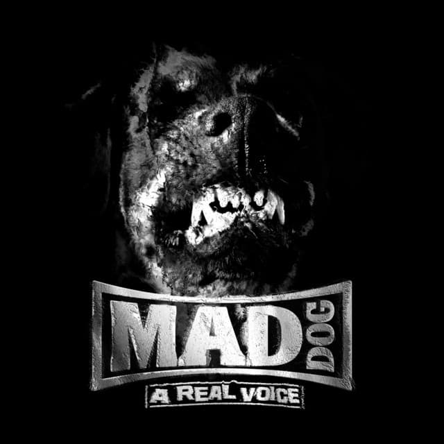 A real voice cover art