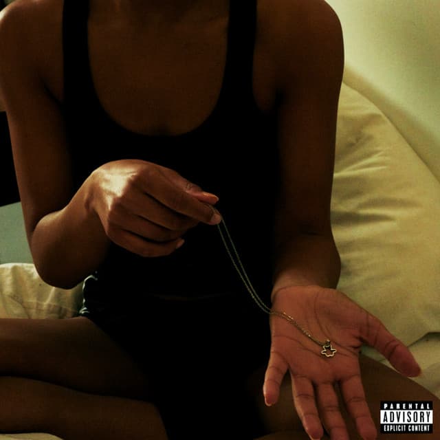 The Necklace cover art