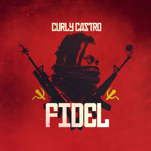 FIDEL cover art