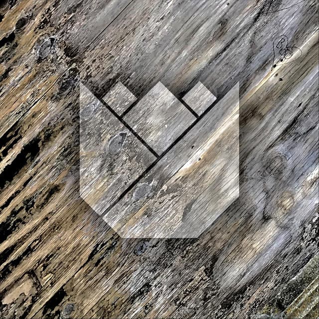 Tulip cover art