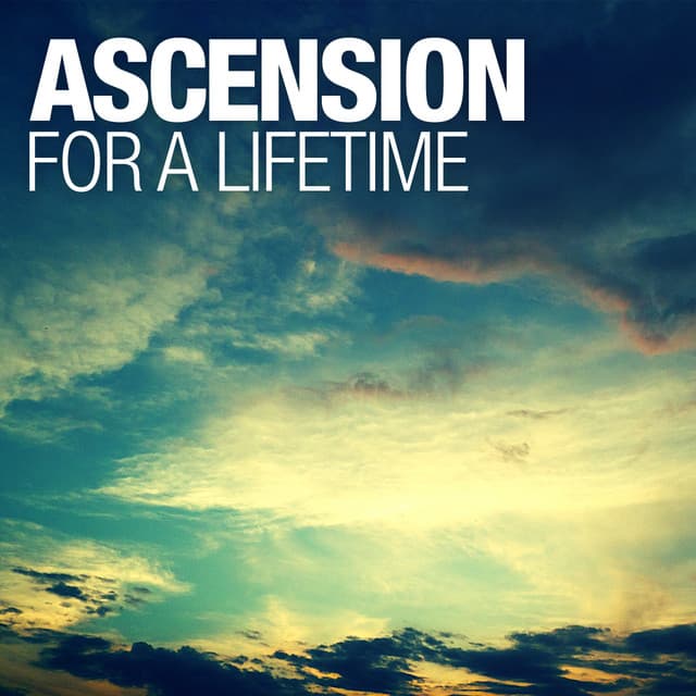 For A Lifetime - Lustral Mix cover art