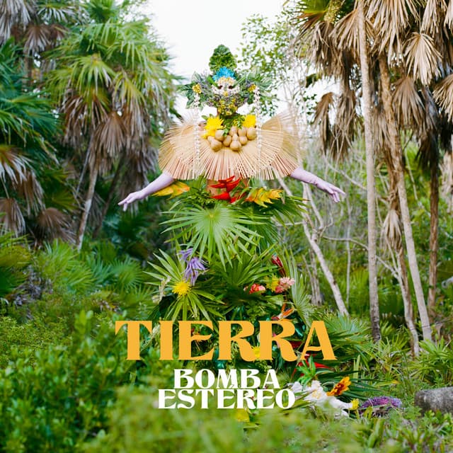 Tierra cover art