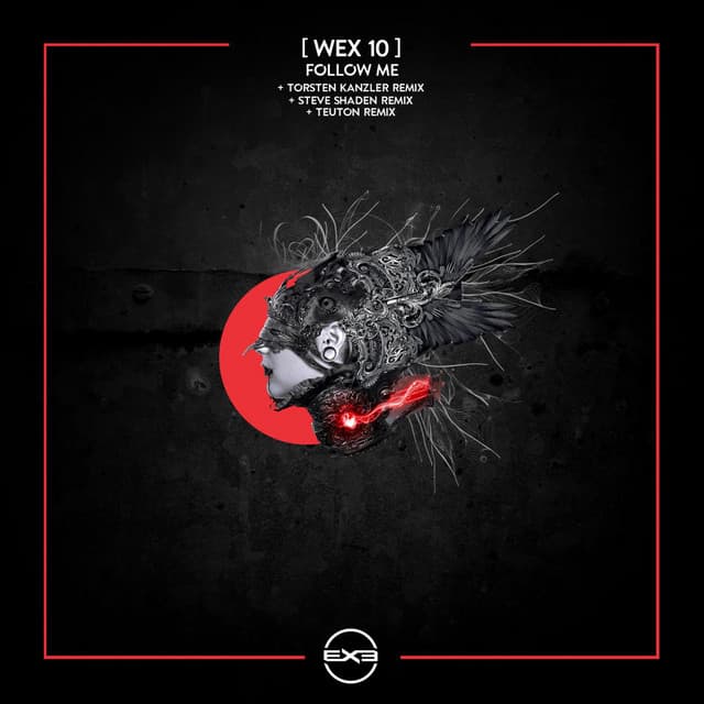 Follow Me - Torsten Kanzler Remix cover art