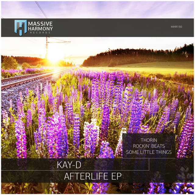 Afterlife - Rockin' Beats Dub Mix cover art