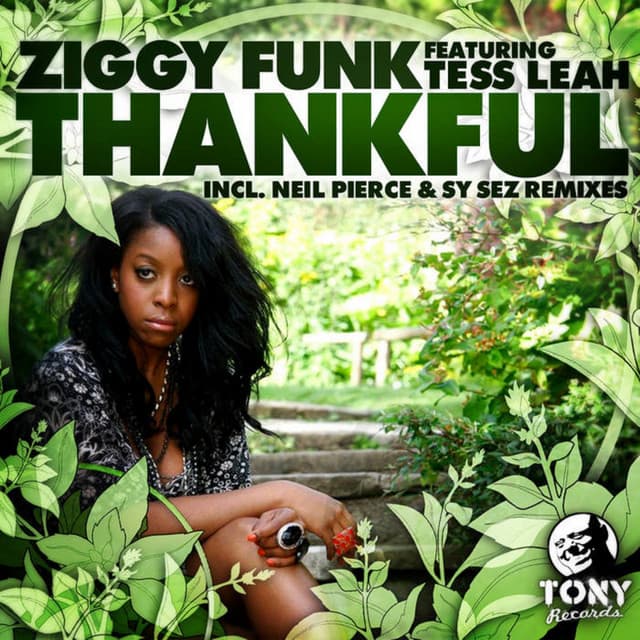 Thankful - Neil Pierce Beat Players Mix cover art