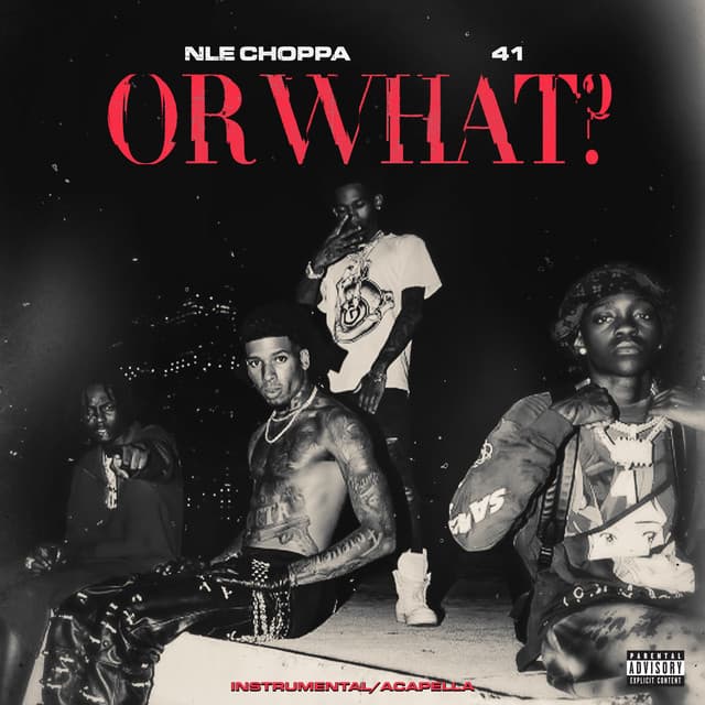 Or What - Instrumental cover art
