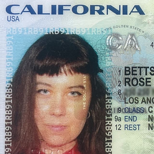 Goodbye California cover art