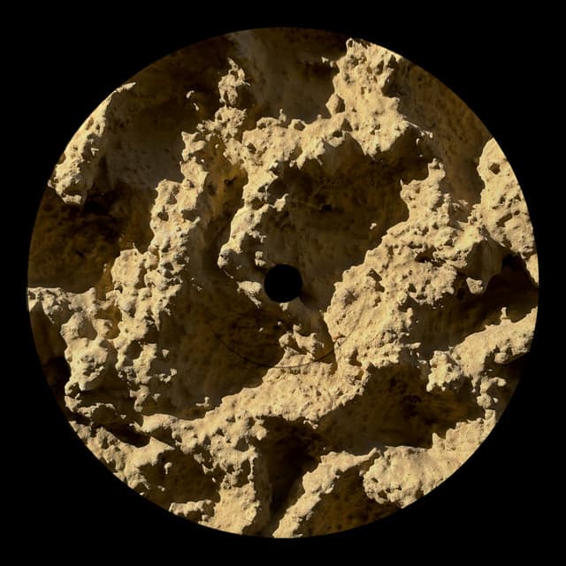 Phyllophaga cover art