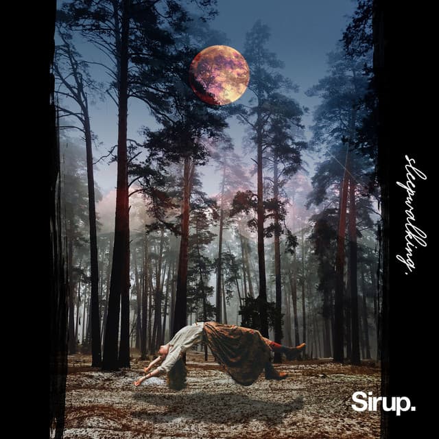 Sleepwalking cover art