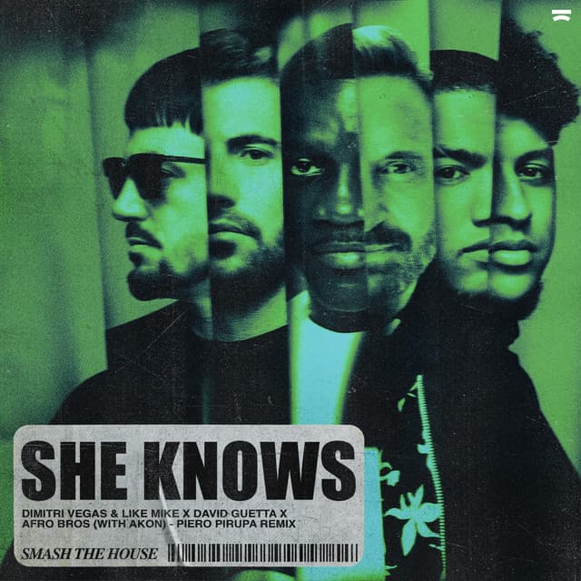 She Knows (with Akon) - Piero Pirupa Remix cover art
