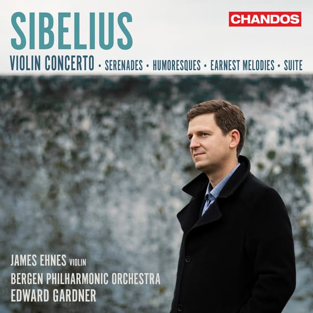 Violin Concerto in D Minor, Op. 47: I. Allegro moderato cover art