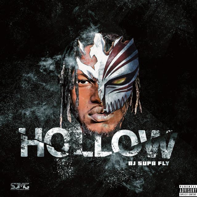 Hollow cover art