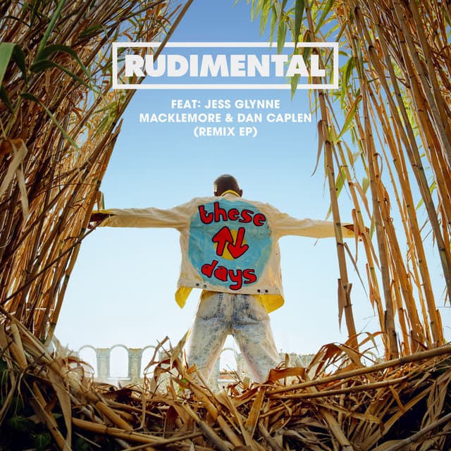 These Days (feat. Jess Glynne, Macklemore & Dan Caplen) - GRiZ Remix cover art