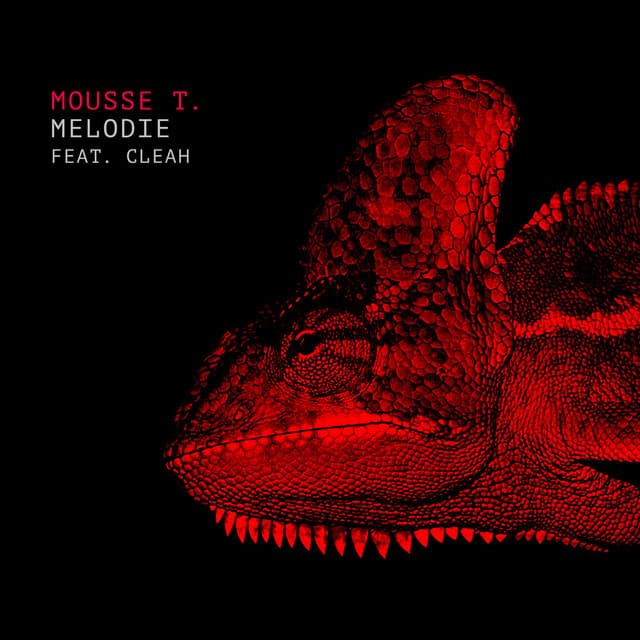 Melodie (Mousse T's Extended Disco Shizzle Remix) cover art