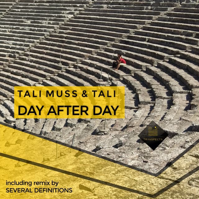 Day After Day - Several Definitions Remix cover art