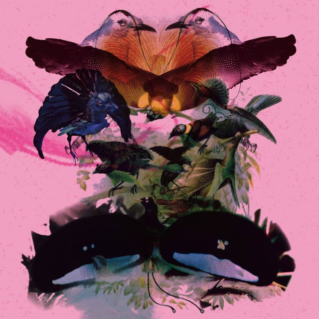 Rojus (Designed to Dance) cover art