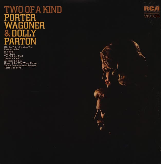 The Pain of Loving You cover art