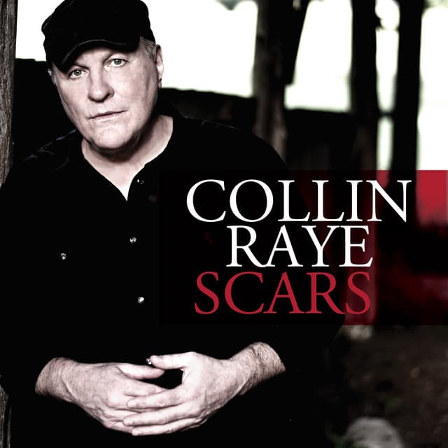 Scars cover art