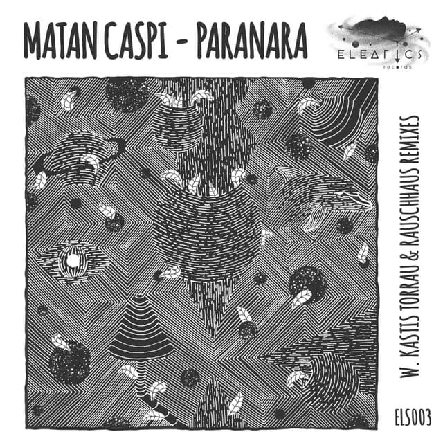 Paranara - Rauschhaus Remix cover art