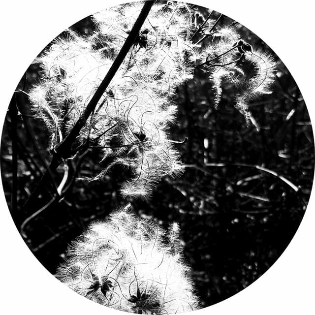 Dispersion - Dino Sabatini rework cover art