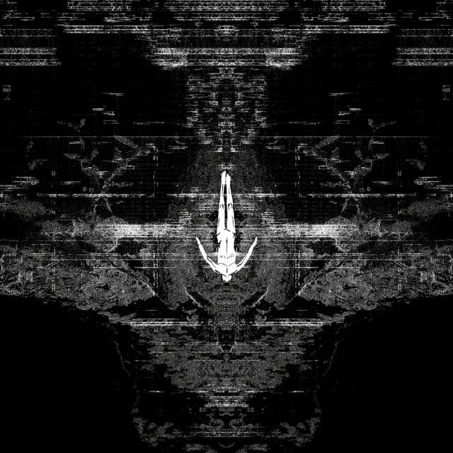 Confusion cover art