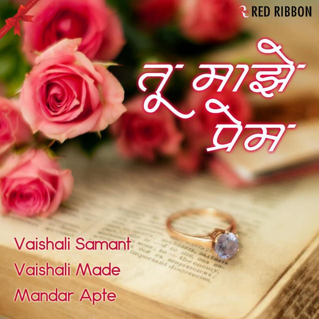 Nital Nilya cover art