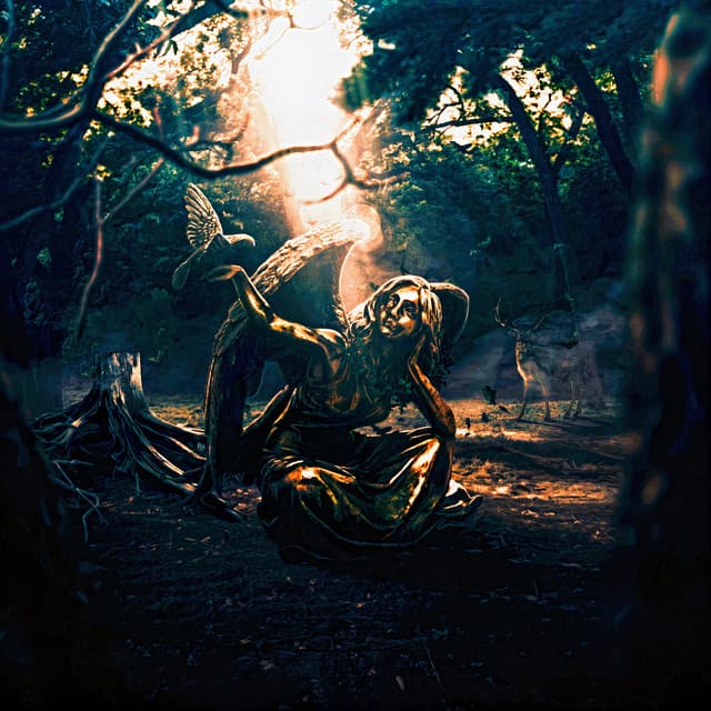 DCR2 cover art