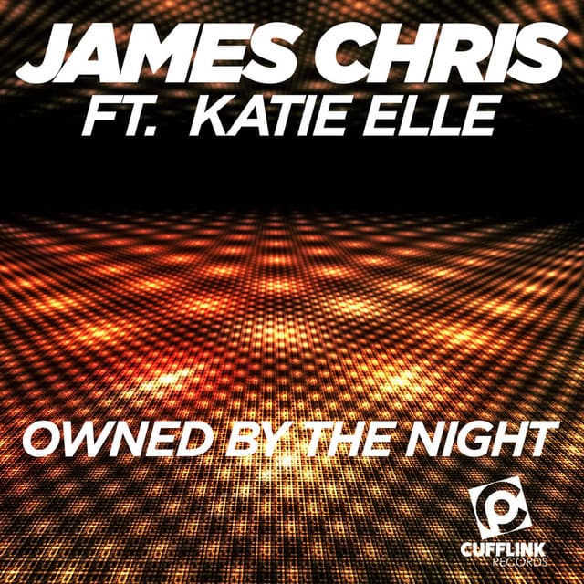 Owned By The Night - Radio Mix cover art