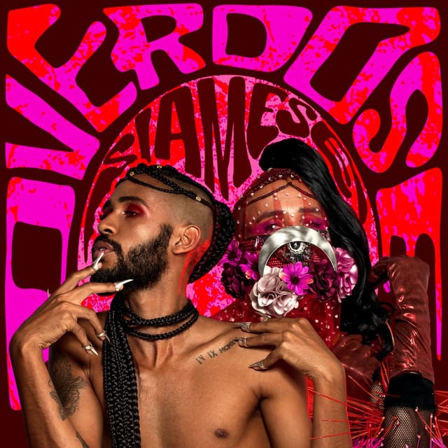 Iguais - Studio cover art
