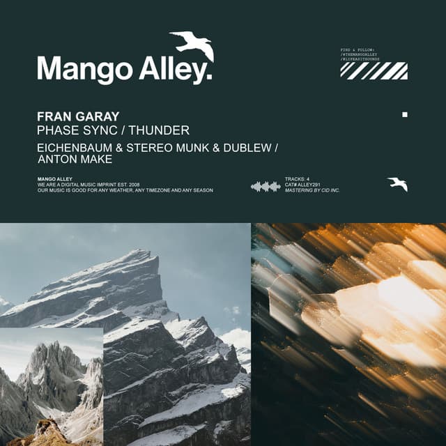 Phase Sync - Eichenbaum & STEREO MUNK & Dublew Remix cover art