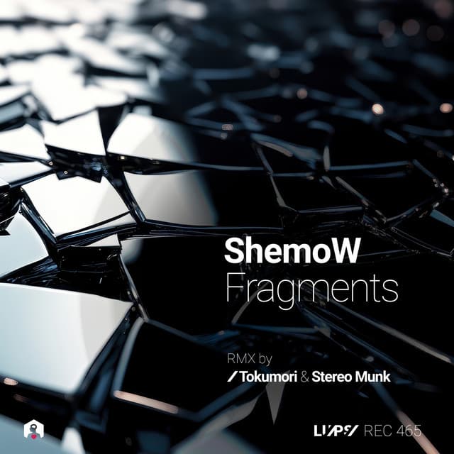 Fragments - Stereo Munk Remix cover art