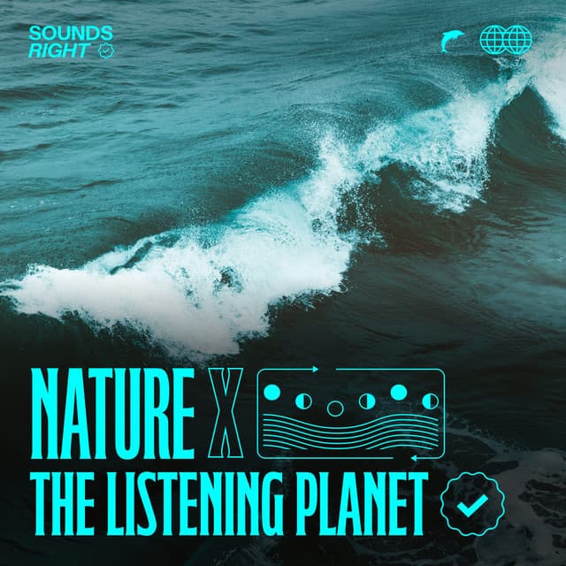 Songs from the Sea cover art