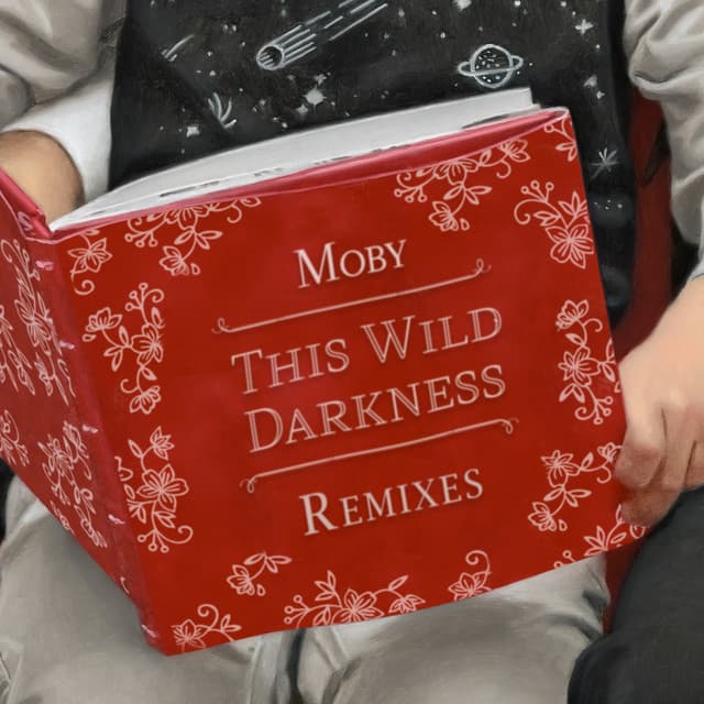 This Wild Darkness - CYA Remix Edit cover art