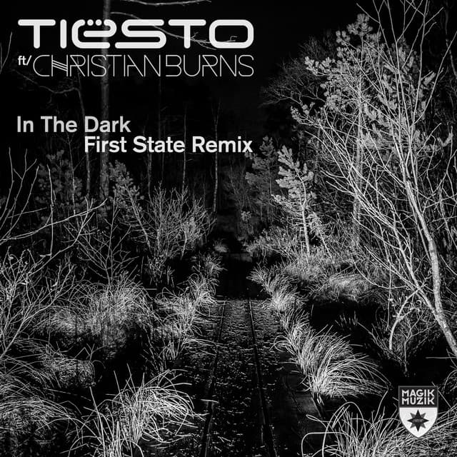 In the Dark - First State Remix cover art