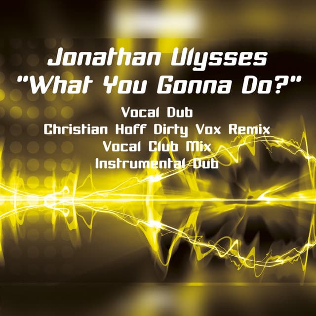 What You Gonna Do? - Christian Hoff Dirty Vox Remix cover art