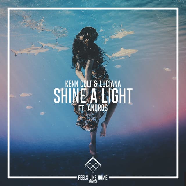 Shine A Light cover art