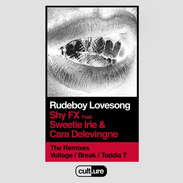 Rudeboy Lovesong (feat. Sweetie Irie & Cara Delevingne) cover art